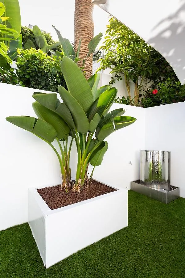 Apartamento Sol Apartment Punta Del Hidalgo